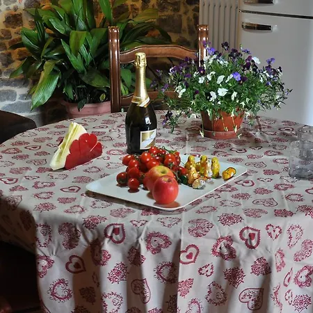 Podere Casorbica 乡村民宿 哥尔顿